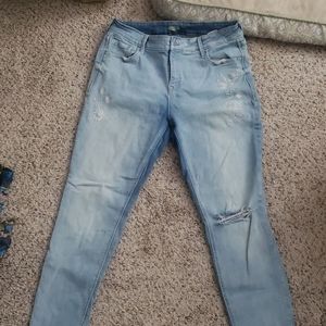 Floral Embroidered Rockstar Jeans